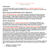 Amdecon Employee Handbook Template