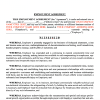 Amdecon Employment Contract Template
